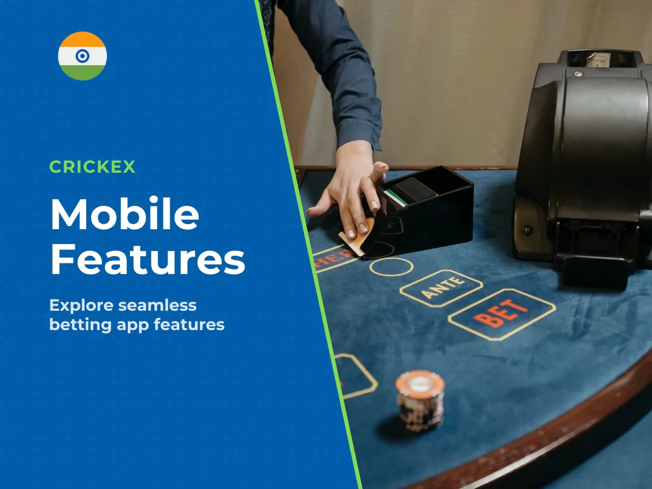 Main features available in the Crickex