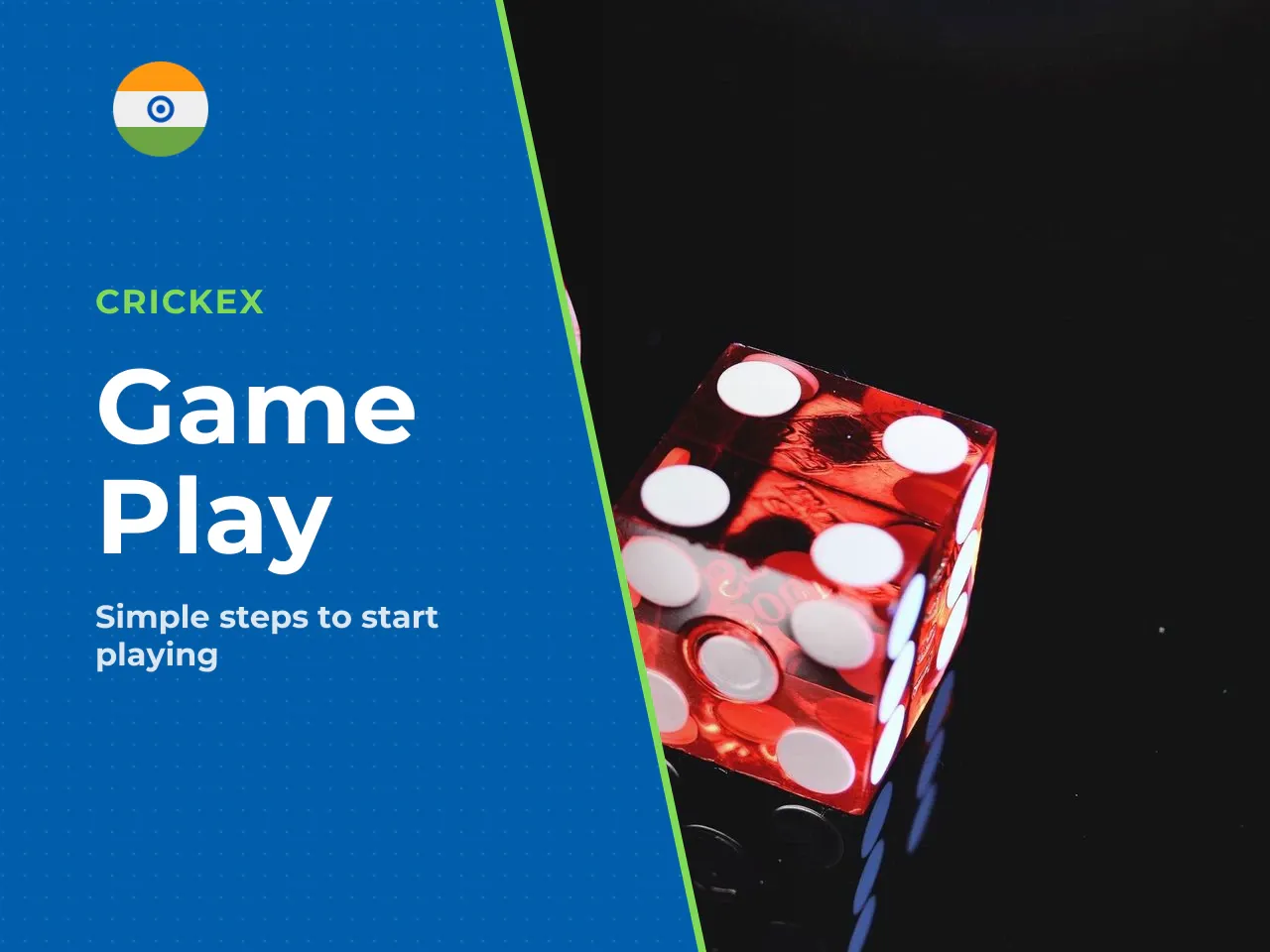 1. Game Launch Open the game