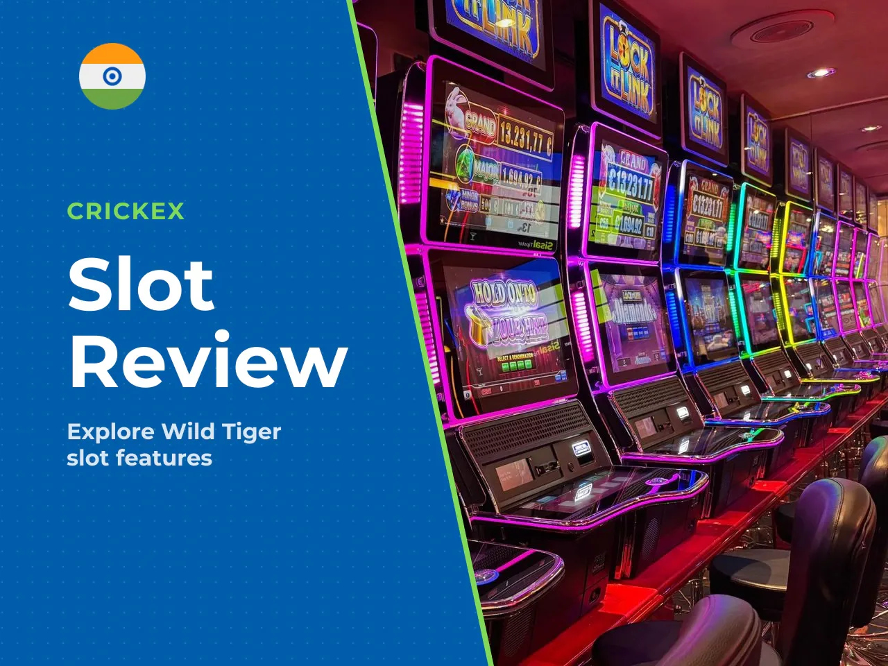 Wild Tiger by BGaming Theme, Visuals
