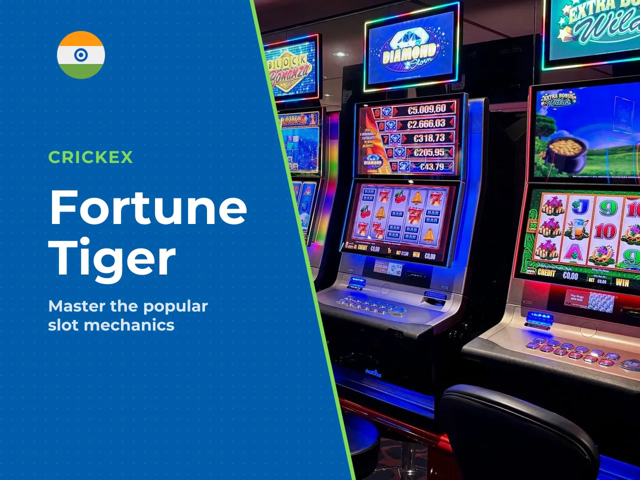 What Is Fortune Tiger and Why