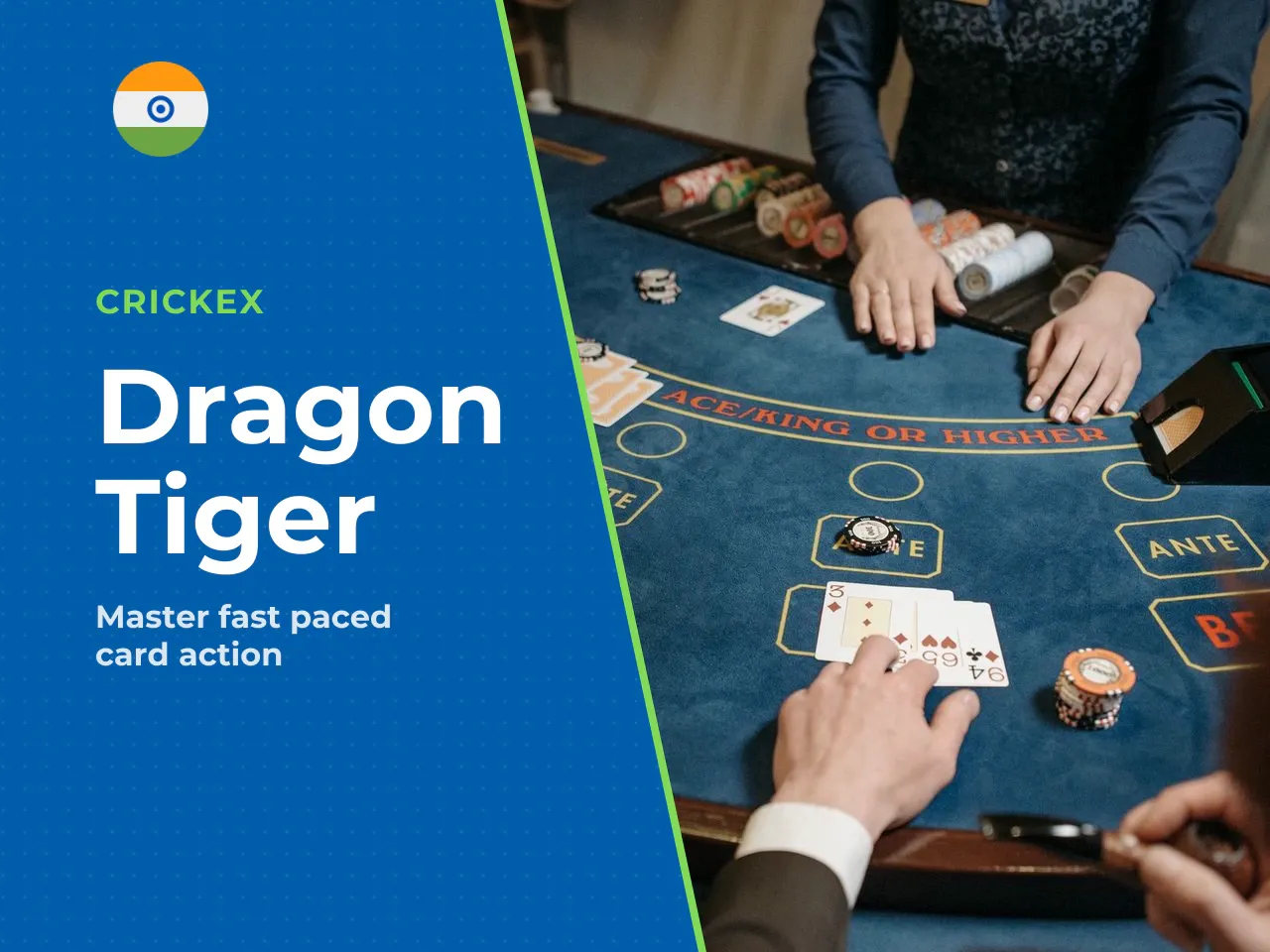 Dragon Tiger's Pace and Quick-Session Appeal