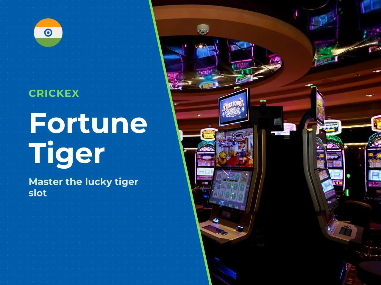 The tiger slot leans into recognizable