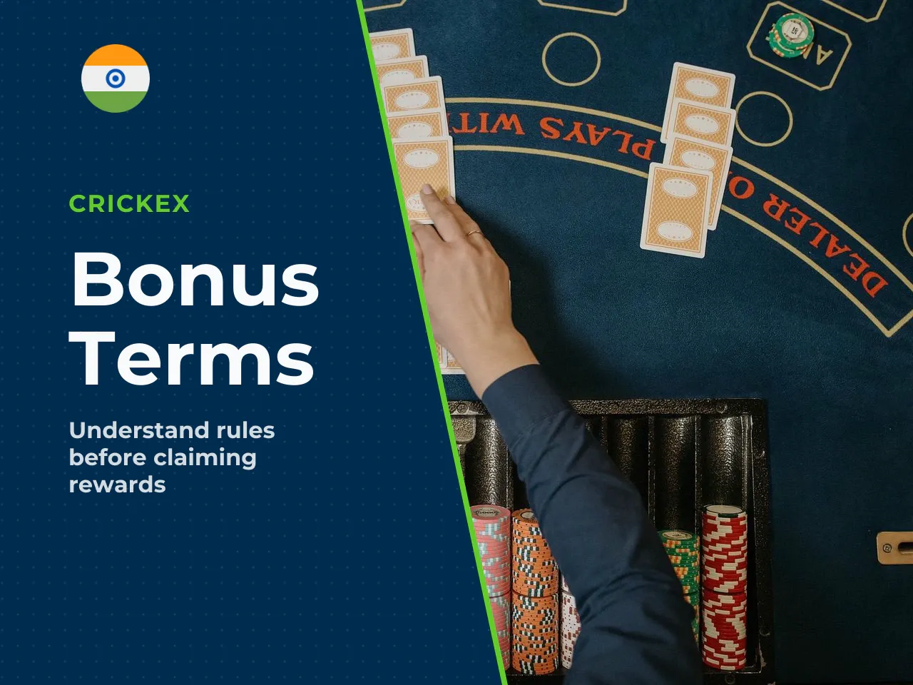 What to Read in the Bonus