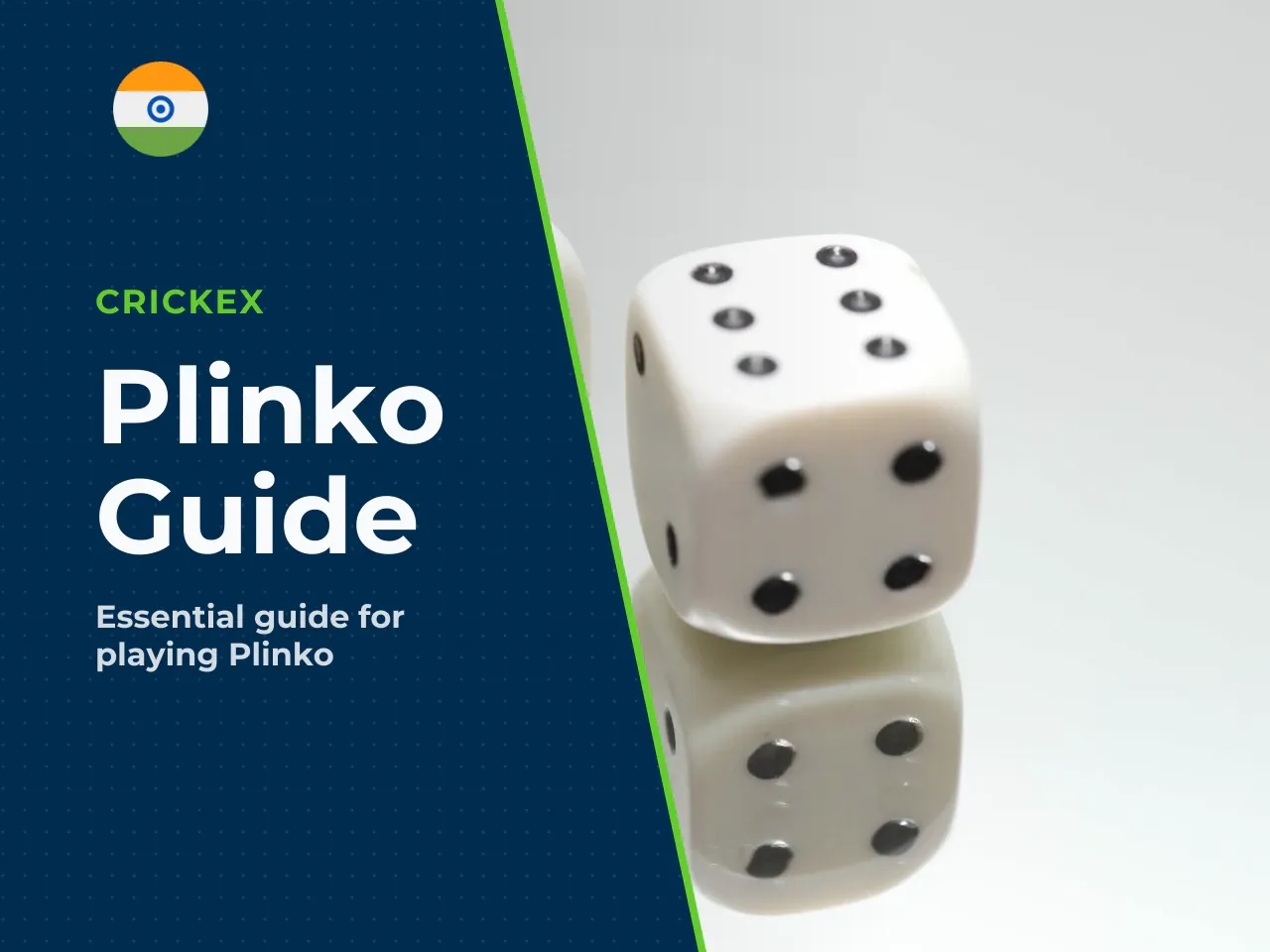 What You Need to Know in