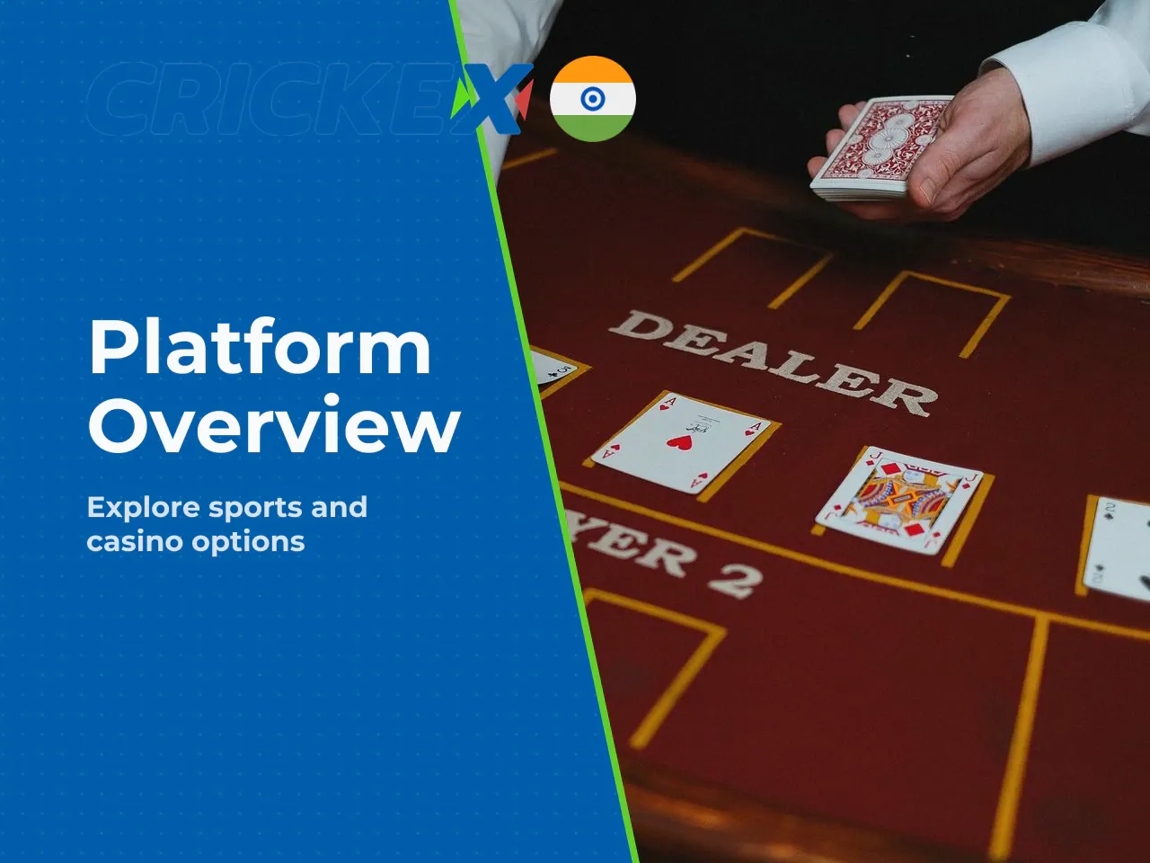 Sports betting users vs casino-first users. Sports betting users focus heavily on cricket coverage and dynamic exchange tools (Back & Lay via SBOBET), whereas casino-first users prefer instant access 