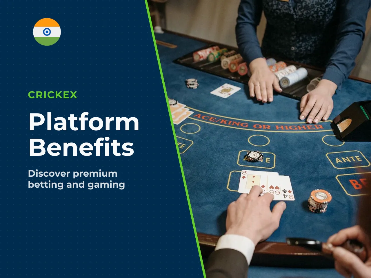 Main Reasons Users Choose Crickex. Users